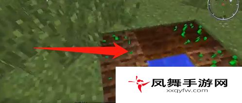 《我的世界》种植土地方法