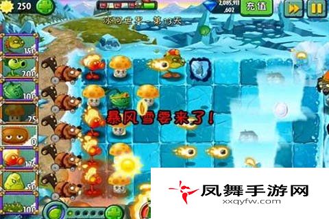 冰河世界第13天攻略，植物大战僵尸2冰河世界第13天低配过关技巧