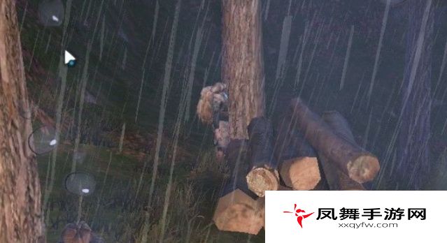 《明日之后》自拍合照任务攻略