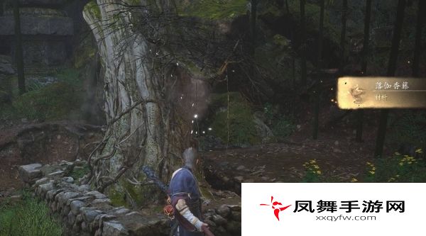 《黑神话悟空》落伽香藤位置介绍