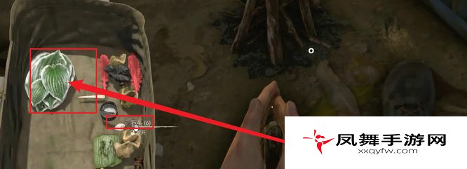 《绿色地狱》绳子获取方法