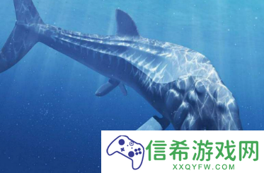 方舟生存进化哪个点有鲸鱼尸体