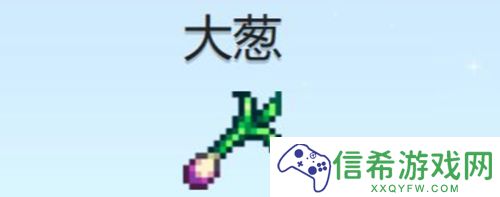 星露谷物语大葱在哪获得