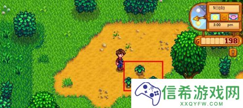 星露谷物语大葱在哪获得