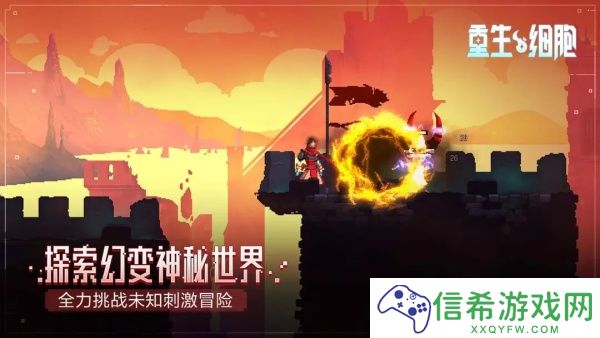 重生细胞怎么回血