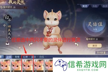 倩女幽魂灵伴怎么升阶