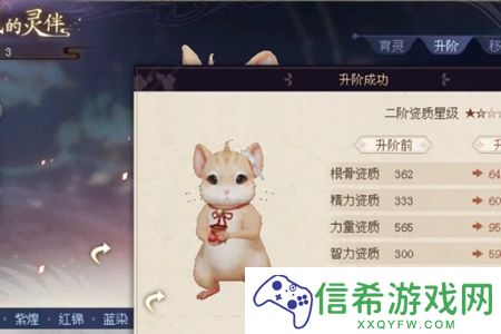 倩女幽魂灵伴怎么升阶