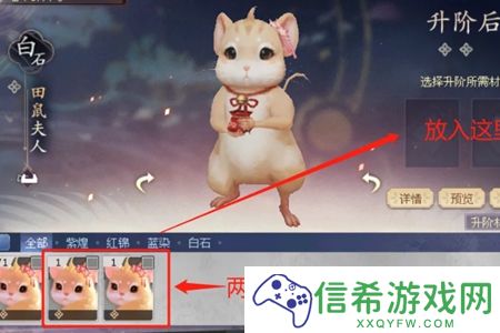 倩女幽魂灵伴怎么升阶