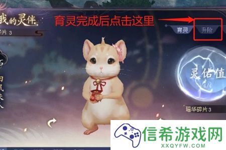 倩女幽魂灵伴怎么升阶