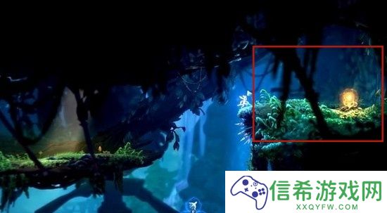 奥日与萤火意志怎么过光之池