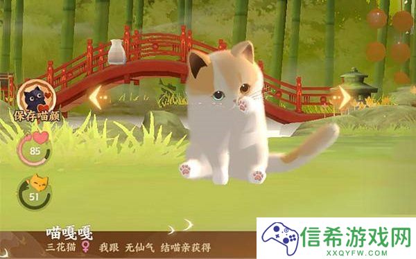 忘川风华录怎么获得名士猫