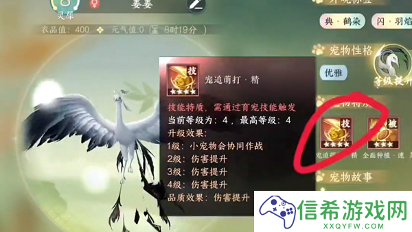 逆水寒手游宠物绝技宠追萌打怎么获取