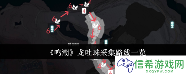 鸣潮龙吐珠采集路线是什么