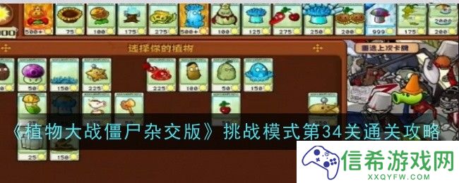 植物大战僵尸杂交版挑战模式第34关怎么通关